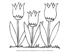 Ausmalbild-Tulpen-5.pdf